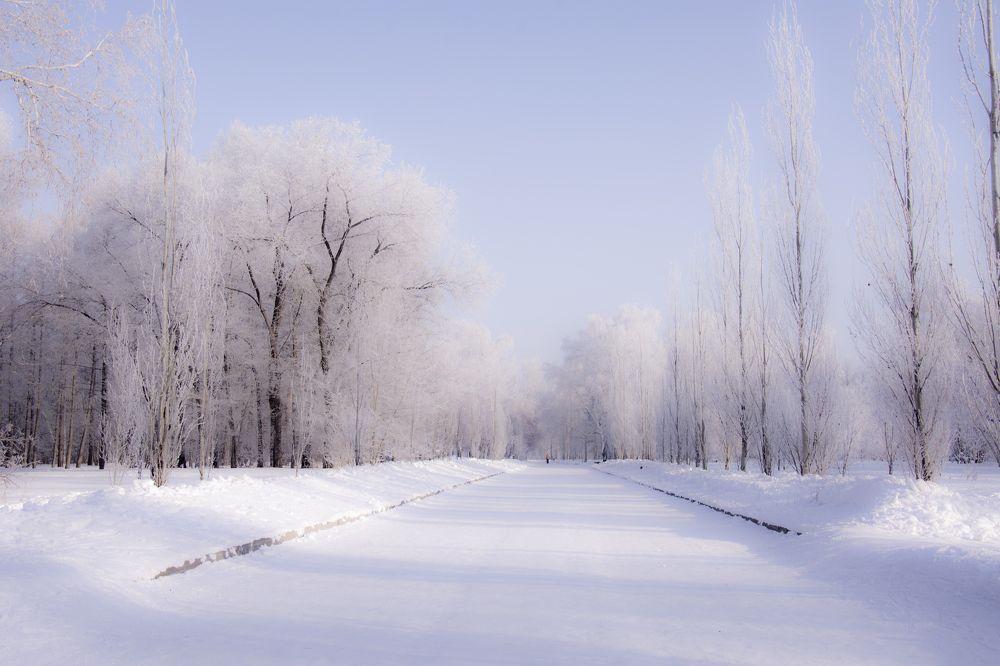 Серебро, огни и блестки, - Целый мир из серебра!