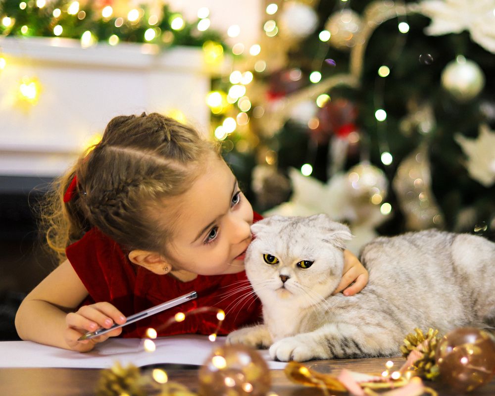 Photograph by Anastasia Tuluc