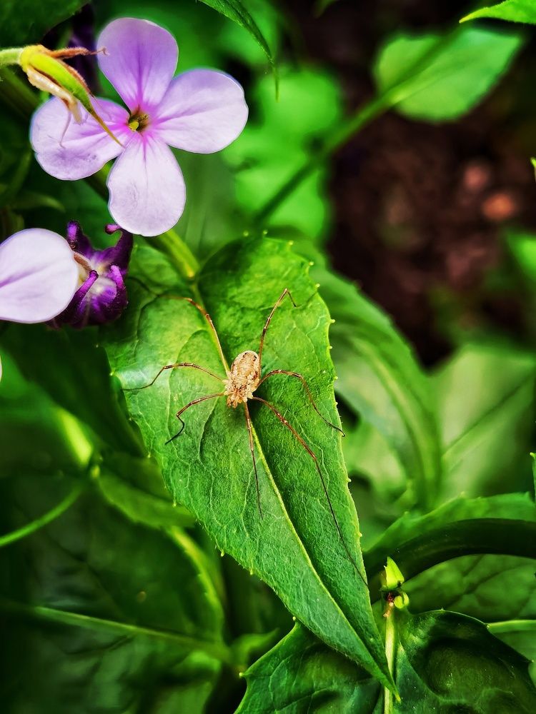 Photograph by Ольга