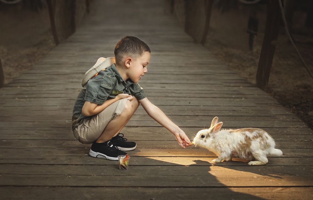 Photograph by Elena Ferciug