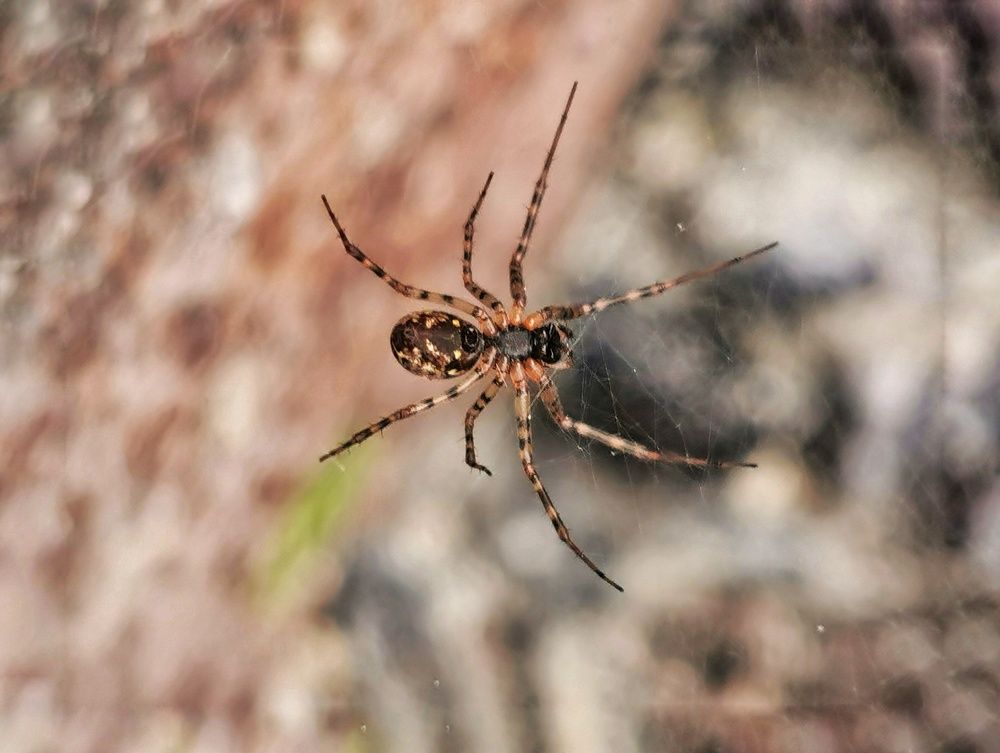 Photograph by Ольга