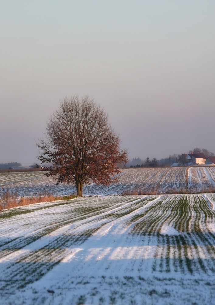 Фотография автора Iwona Moskalik