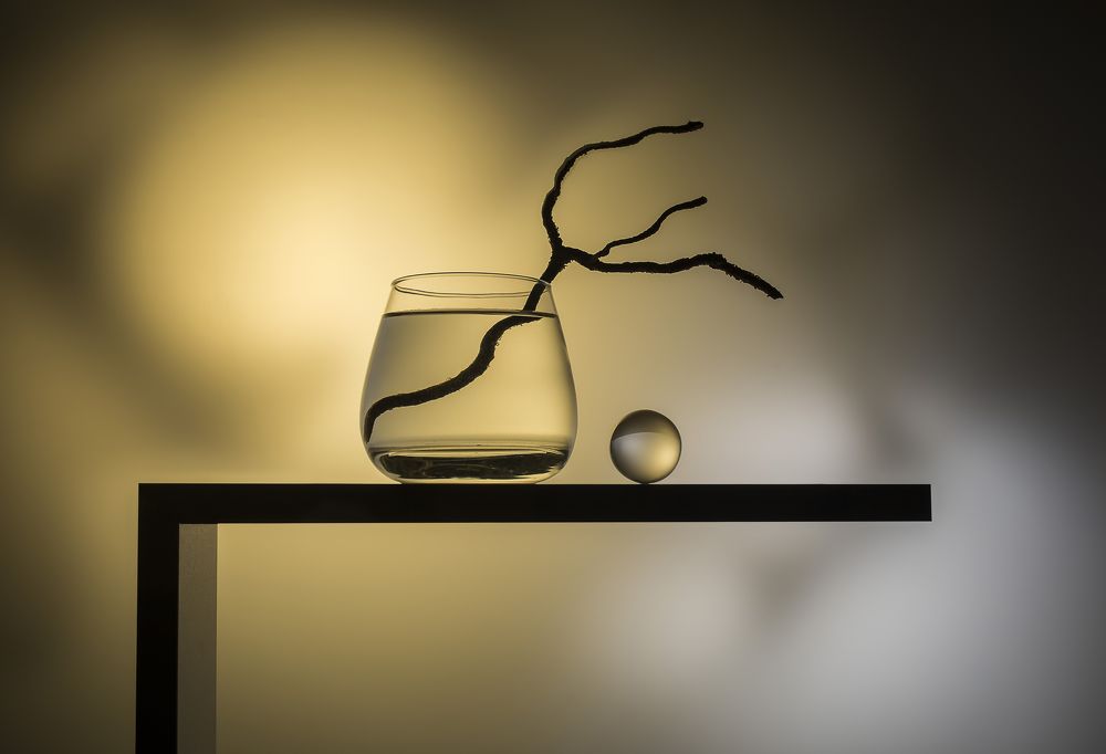 Photograph by Евгений Попов