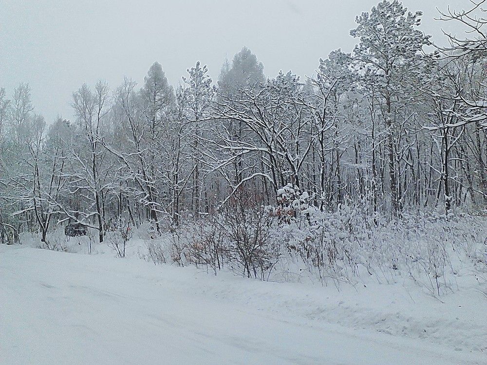 Photograph by  Людмила