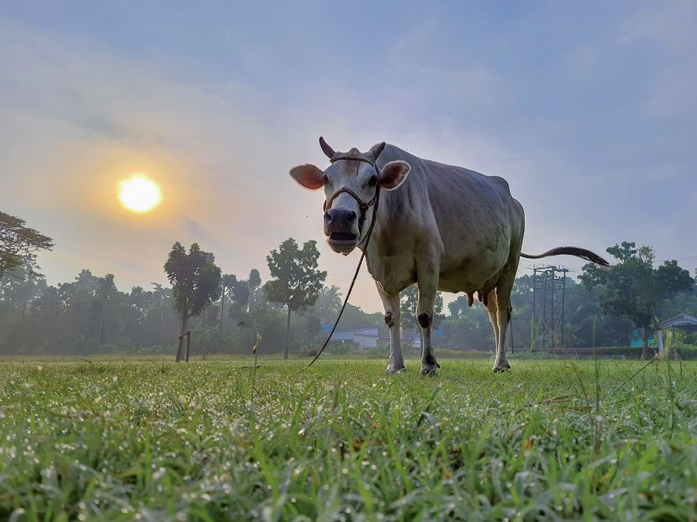Photograph by Tanmay Karmakar