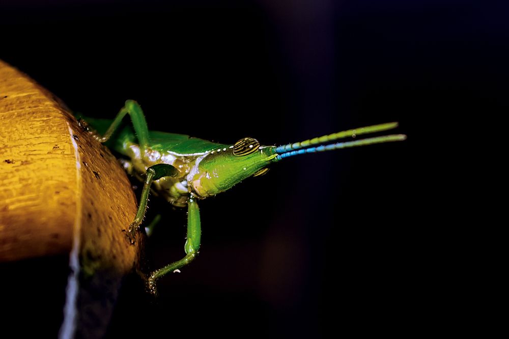 Photograph by Сергей Немчинов