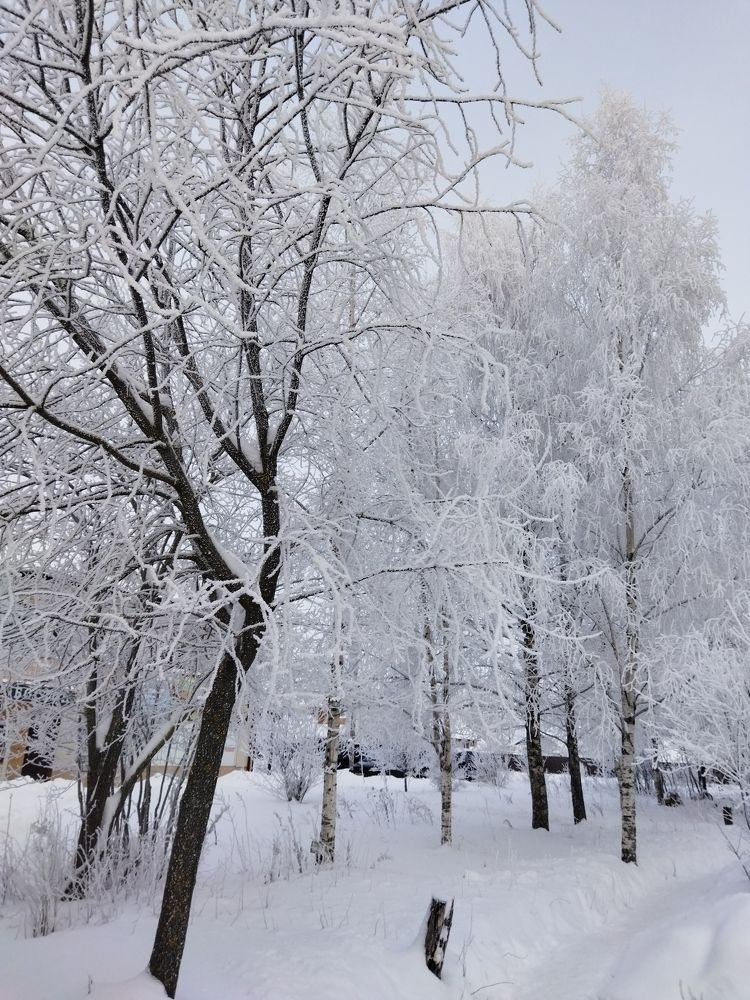 Фотография автора Ксения Бушуева