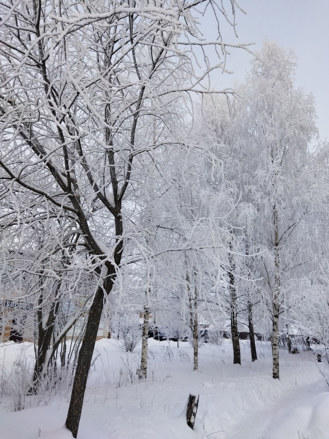 Photo #7092116