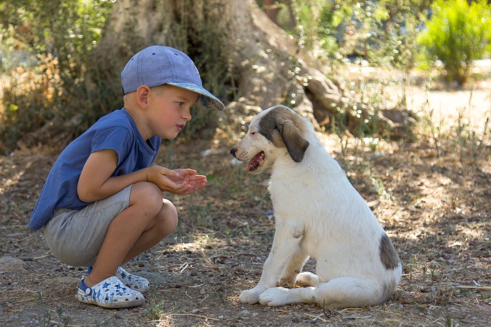 Photograph by Olga Min