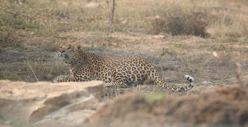 Photograph by Faisal Khan