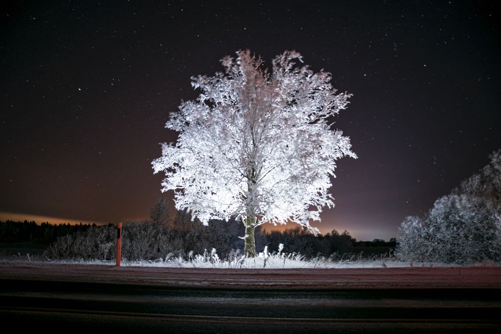 Photograph by Vasily Baranov