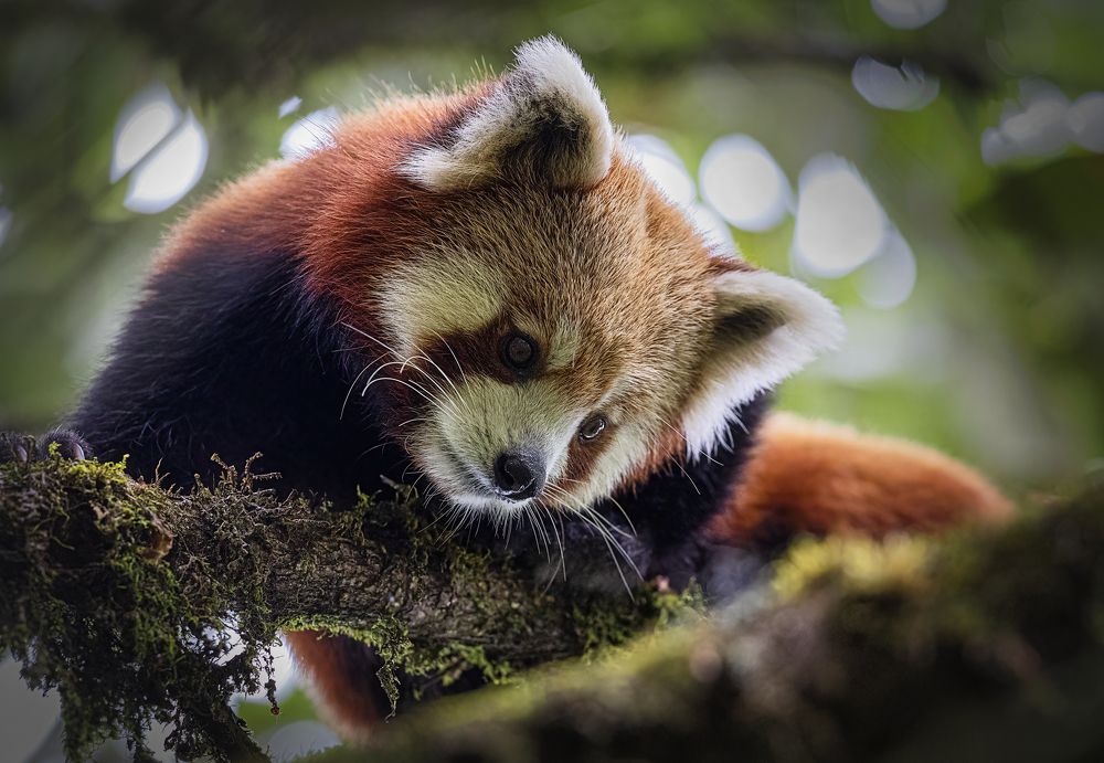 Photograph by Smita Behera