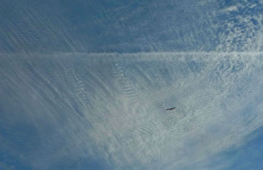 Photograph by Людмила