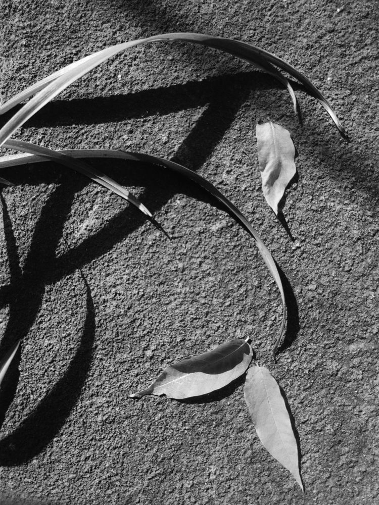 Photograph by Игорь Юркивский