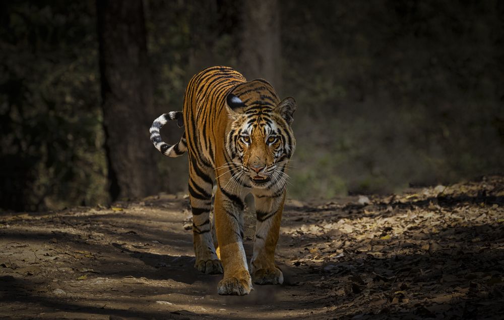 Photograph by Smita Behera