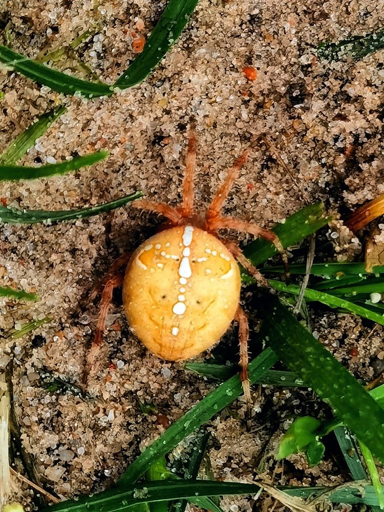 Photograph by Виолетта Юдина