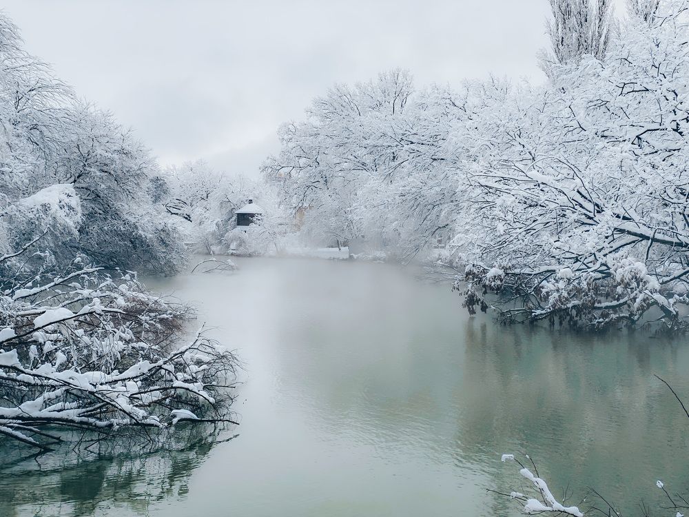 Photograph by Мария Каммерт