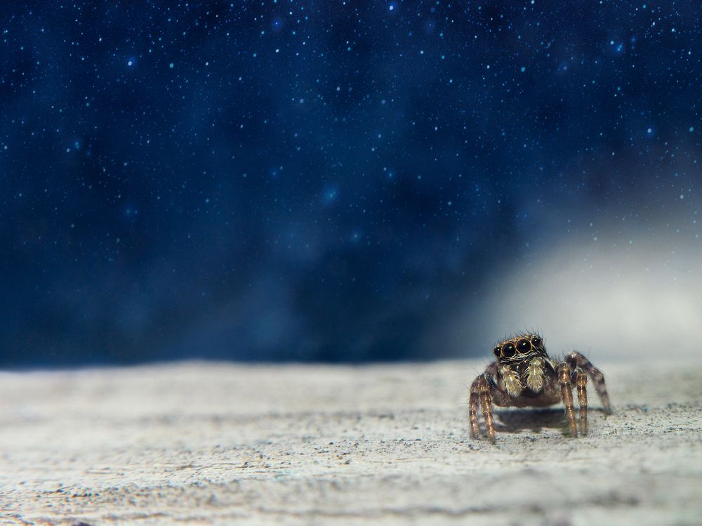 Photograph by Евгения Чепурная