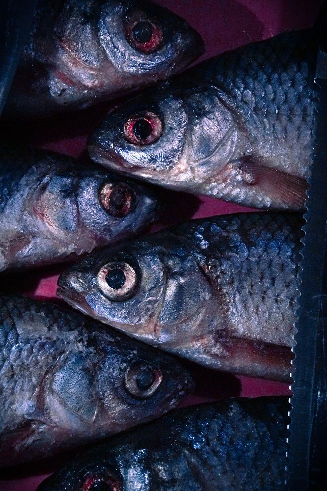 Photograph by Оюна Прокопьева