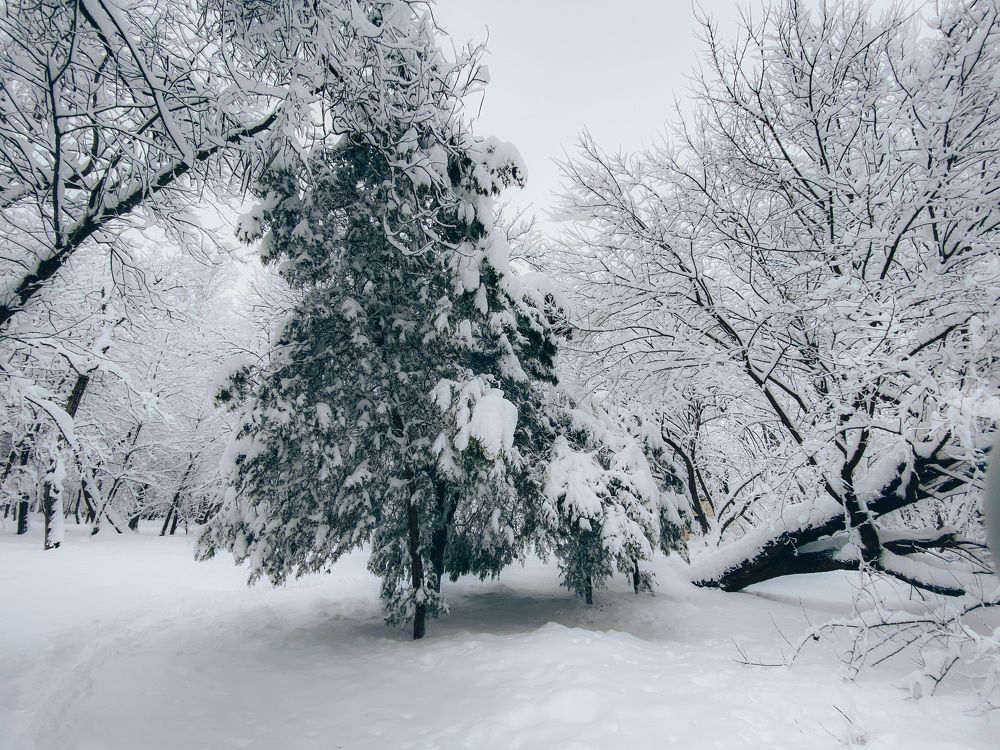 Photograph by Мария Каммерт