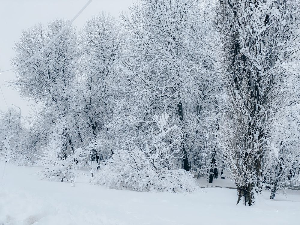 Photograph by Мария Каммерт