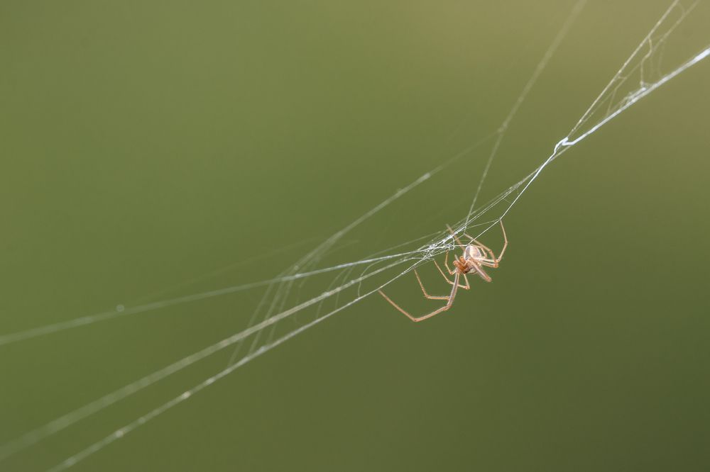 Photograph by Francisco José López Fernández