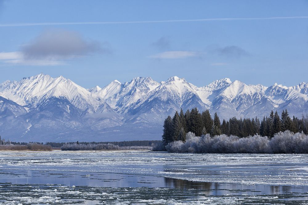 Фотография автора Лариса Кисурина