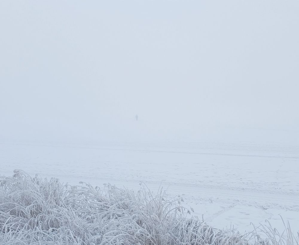 Photograph by Женя Евсеева