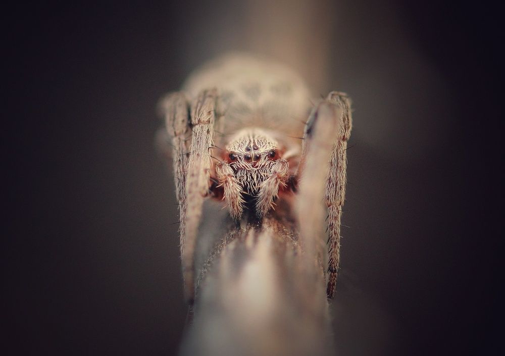 Photograph by 