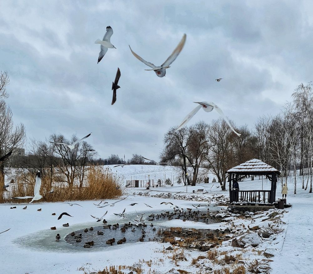 Фотография автора Igor Dyomin