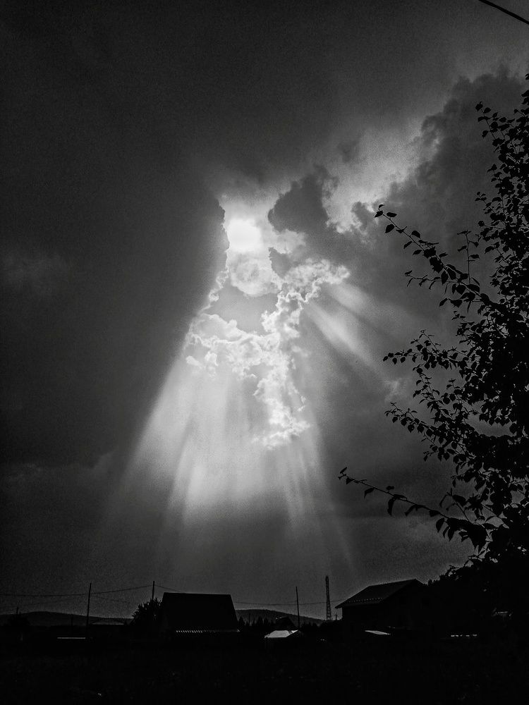 Photograph by Анастасия Чадина