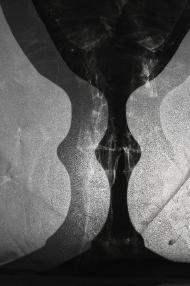 Photograph by Анастасия Чадина