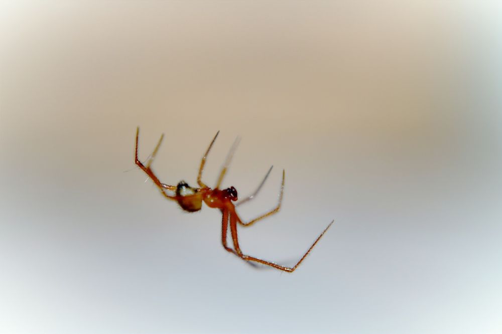 Photograph by Márcio Silva