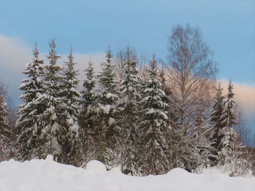 Photograph by Людмила Кононова