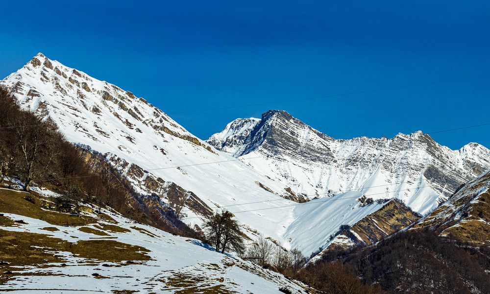 Photograph by Alex Kalpus