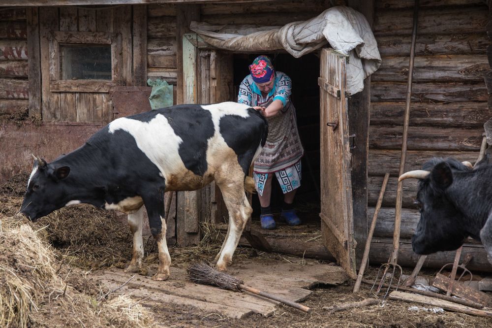 Photograph by Инна Юдина