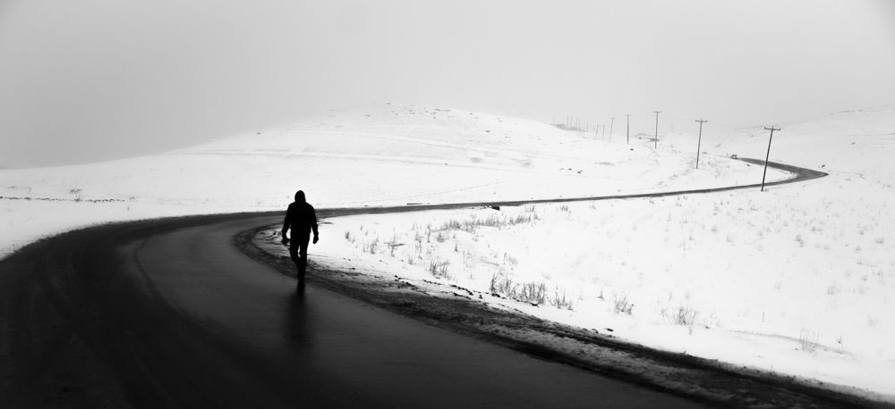 Фотография автора javad