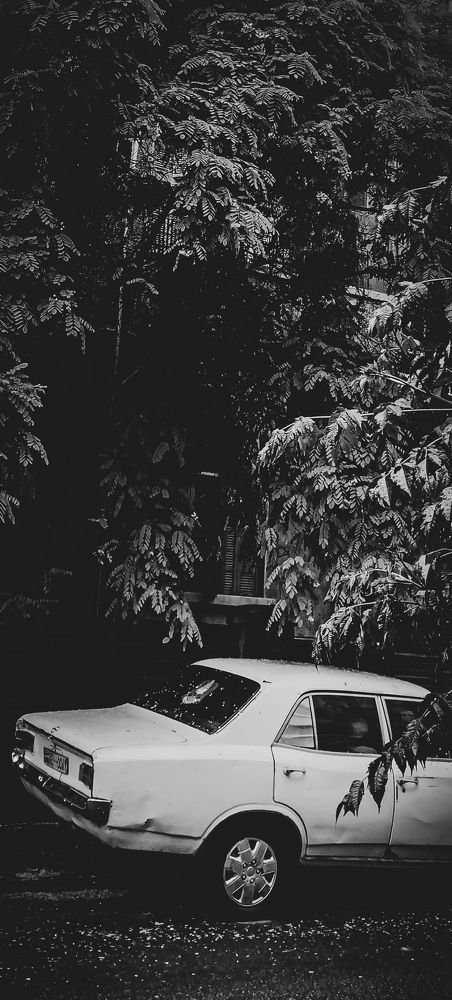 Photo #7092742