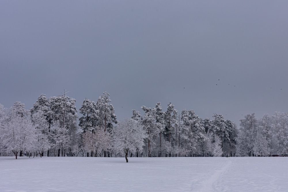 Photograph by Andrey Chernov