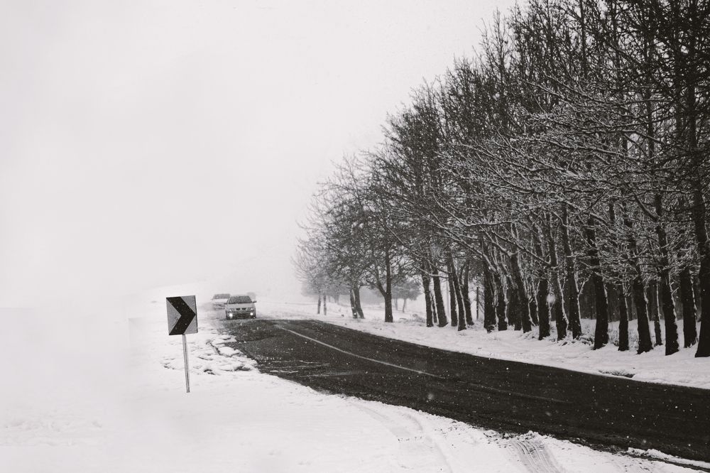 Фотография автора javad