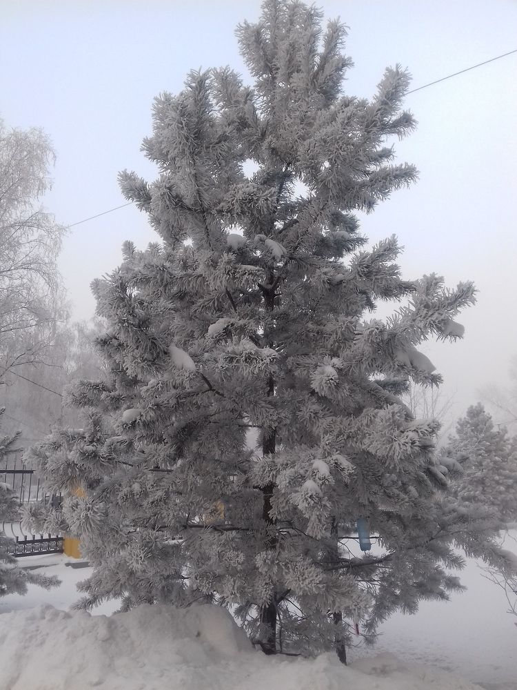 Photograph by Людмила Суйканен
