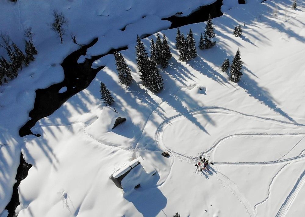 Фотография автора Татьяна Добровольская