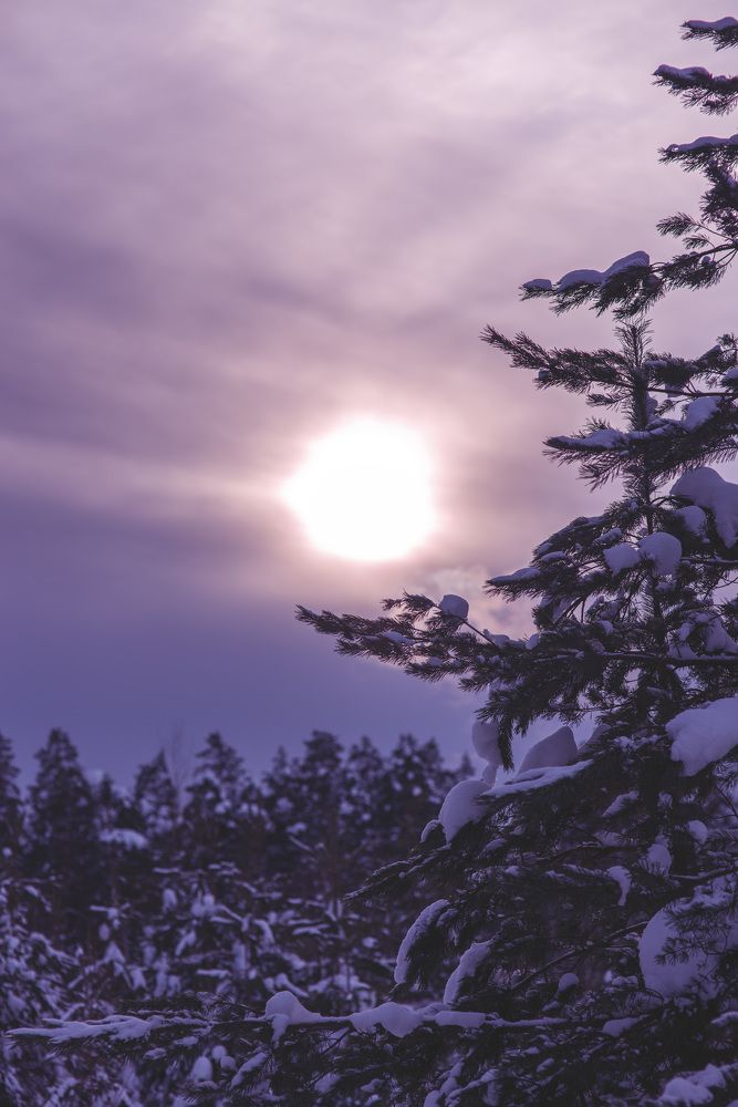 Photograph by Ирина