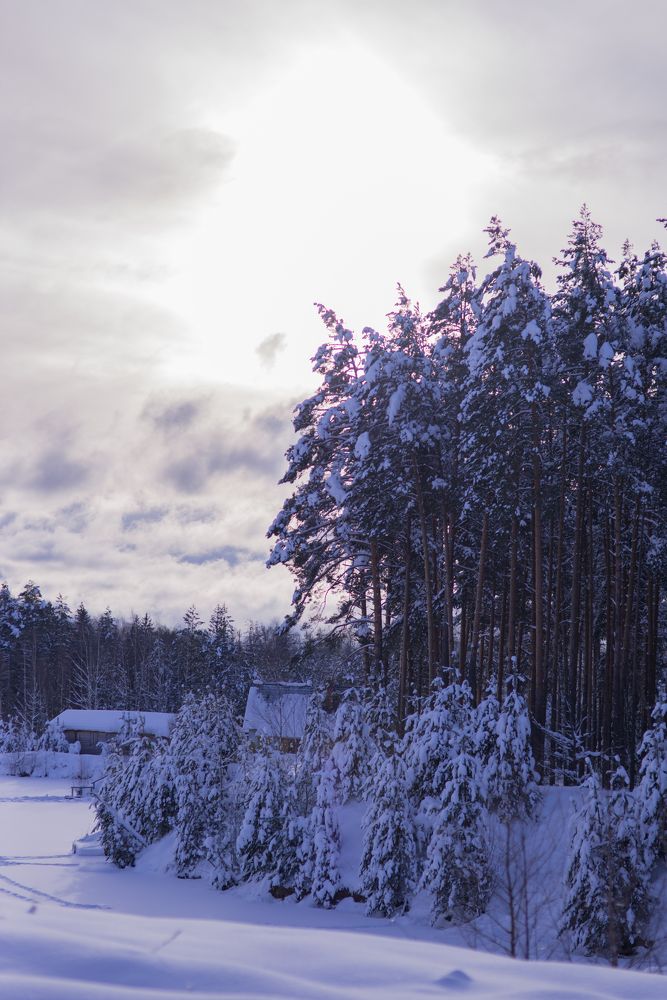 Photograph by Ирина