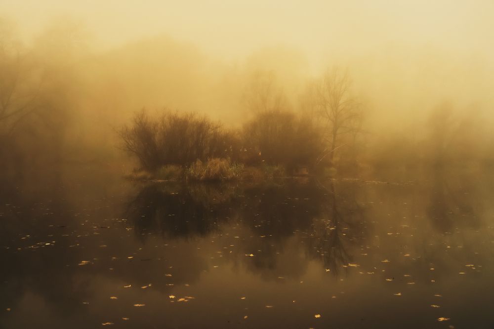 Photograph by Алексей Шевченко