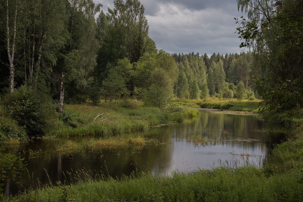 Photograph by Инна Юдина