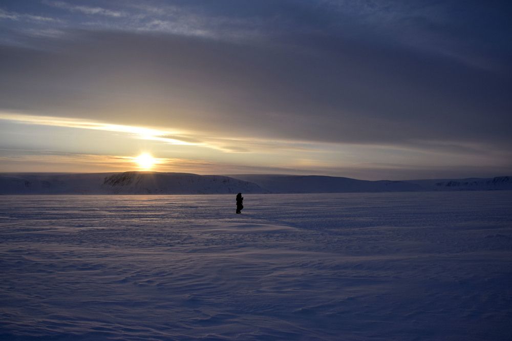 Photograph by Алексей Логинов