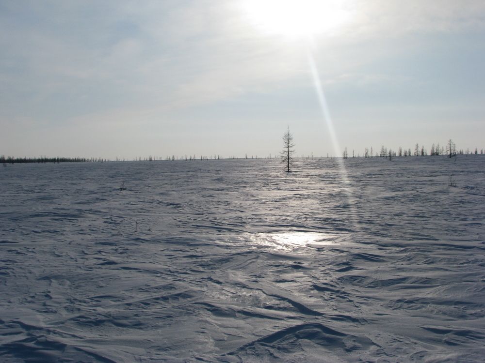 Photograph by Алексей Логинов