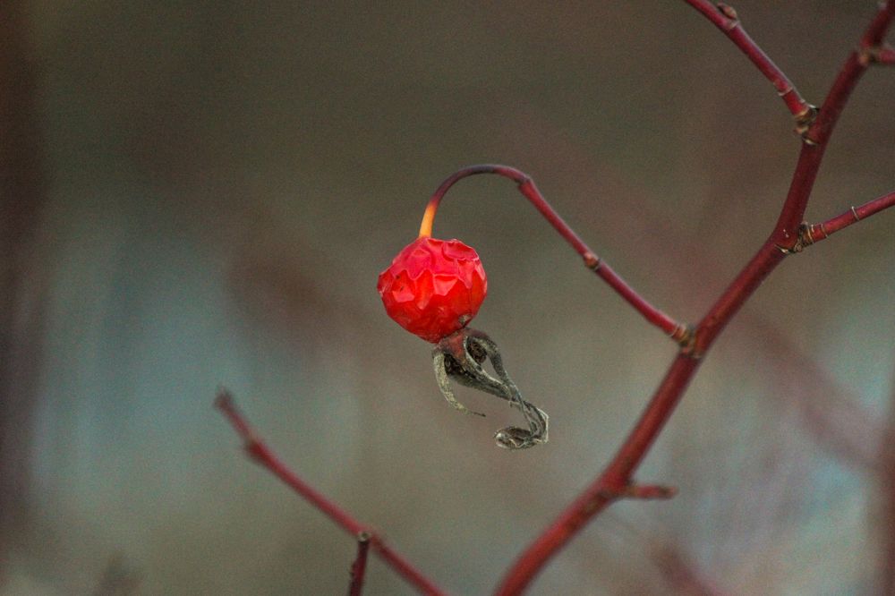 Photograph by Елена Верховская