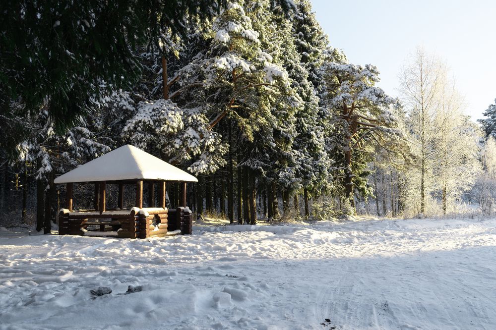 Photograph by Екатерина Климовцева